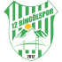 12 Bingolspor crest