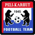 Aarhus 2 crest