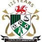 Aberystwyth Town crest
