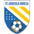 Agricola Borcea crest
