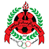 Al-rayyan crest