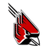 Ala Ab Damanhour crest