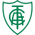 America Mg crest
