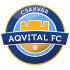 Aqvital Fc Csakvar crest