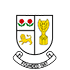 Athlone Town Afc Ladies crest