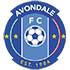 Avondale Fc crest