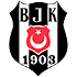 Besiktas U19 crest