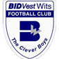 Bidvest Wits crest