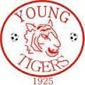 Bloem Young Tigers crest