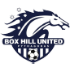Box Hill United crest
