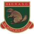 Brentwood Town crest