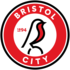 Bristol City Wfc crest
