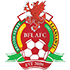 Briton Ferry crest