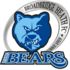 Broadbridge Heath crest