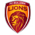 Bulleen Lions crest