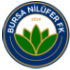 Bursa Nilufer crest