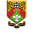 Caerau Ely crest
