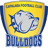 Capalaba crest