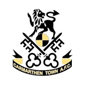 Carmarthen Town crest