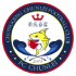 Chongqing Chunlei crest