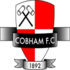 Cobham crest