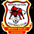 Concordia Atletico crest