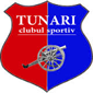 Cs Tunari crest