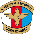 Czarni Sosnowiec crest