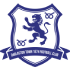 Darlaston Town Fc crest