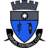 Darvel Fc crest