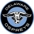 Delaware Fc crest