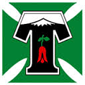 Deportes Temuco crest