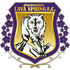 Dingnan United crest