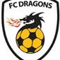Dragon crest