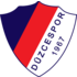 Duzcespor crest