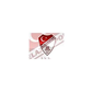 Elazigspor crest