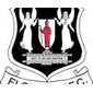 Elgin City crest