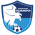 Erzurumspor Fk crest