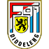 F91 Dudelange crest