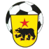 Fc Altstatten crest