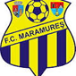 Fc Maramures Univ. crest