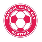 Fc Olt Slatina crest