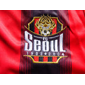 Fc Seoul crest