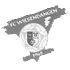 Fc Wiesendangen crest