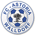 Fca Walldorf crest