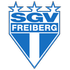 Freiberg crest