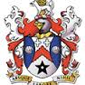Fsv Frankfurt Ii crest