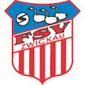Fsv Zwickau crest
