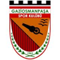 Gaziosmanpasa crest