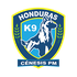 Genesis Fc crest